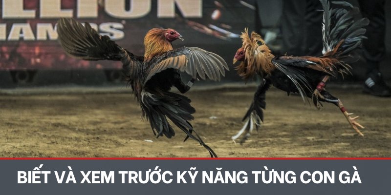 Biết và xem trước kỹ năng từng con gà