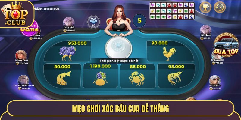 Mẹo chơi Bầu Cua TopClub hiệu quả